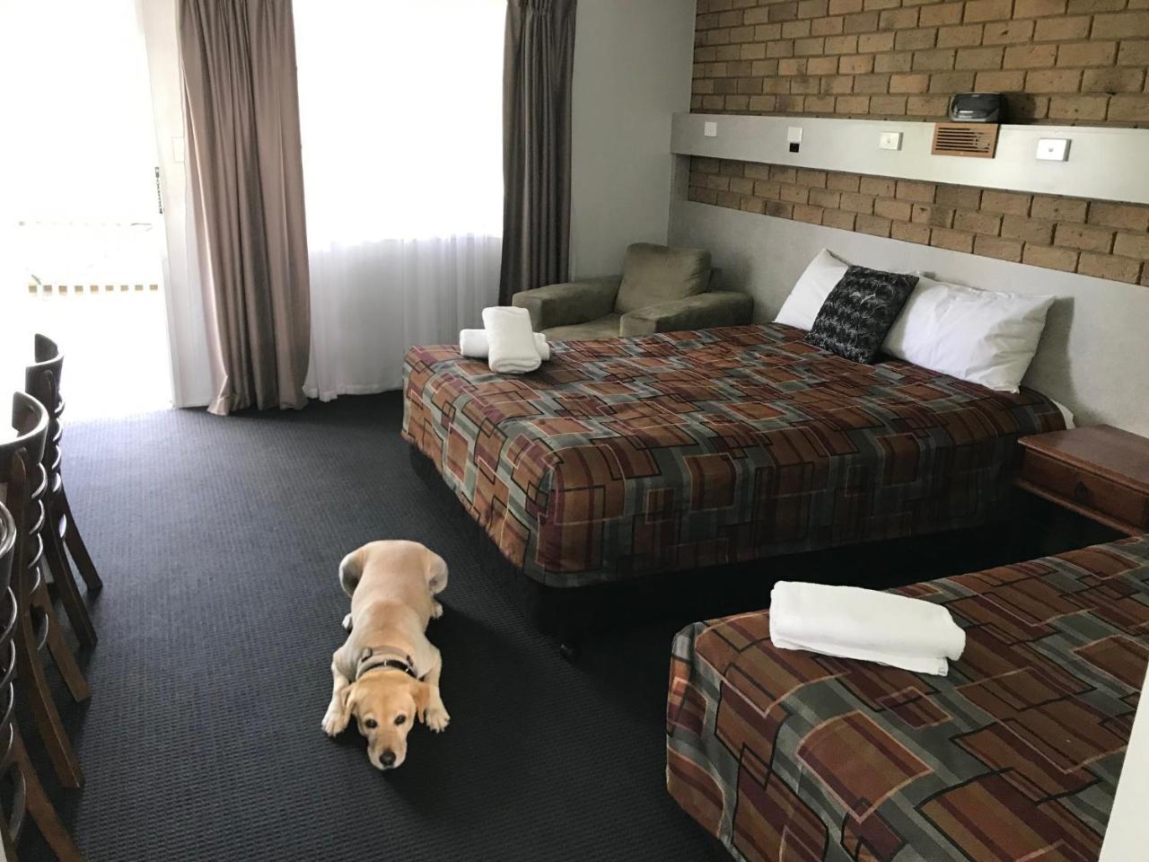 True Blue Motor Inn Rockhampton Buitenkant foto